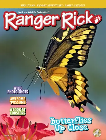 Ranger Rick - 21 五月 2023