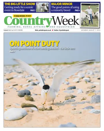 Country Week - 11 Aug 2012