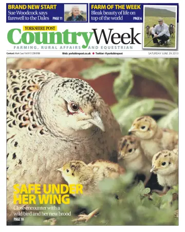 Country Week - 29 Jun 2013