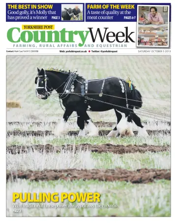 Country Week - 5 Oct 2013
