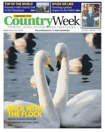 Country Week - 1 Feb 2014