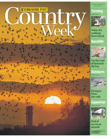 Country Week - 18 Nov 2017