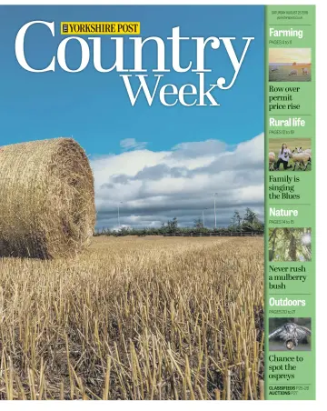 Country Week - 25 Aug 2018