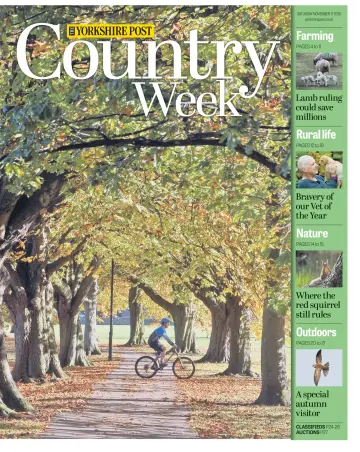 Country Week - 17 Nov 2018