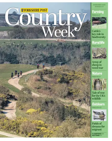 Country Week - 30 Mar 2019