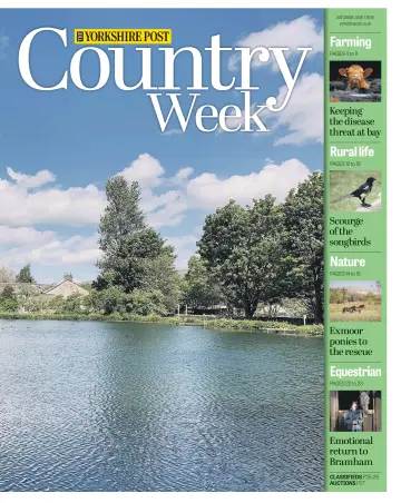 Country Week - 1 Jun 2019
