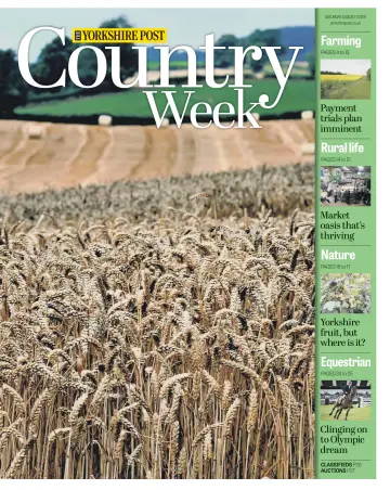 Country Week - 3 Aug 2019