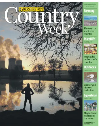 Country Week - 25 Jan 2020