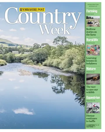 Country Week - 1 Aug 2020