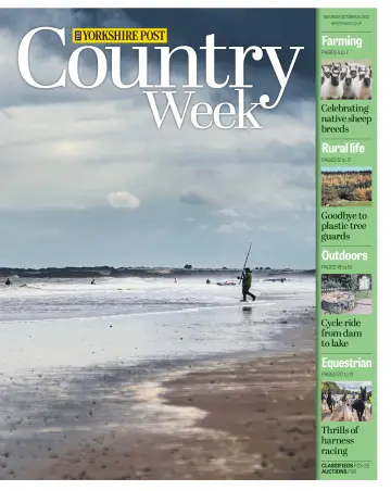 Country Week - 24 Oct 2020