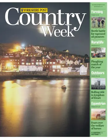 Country Week - 31 Oct 2020