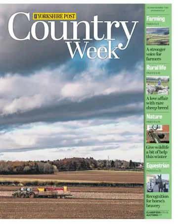 Country Week - 7 Nov 2020