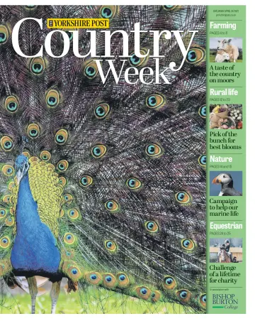 Country Week - 24 Apr 2021