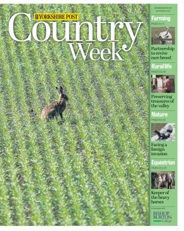 Country Week - 29 May 2021