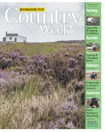 Country Week - 14 Aug 2021