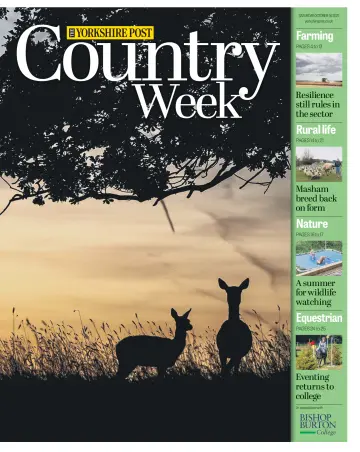 Country Week - 16 Oct 2021