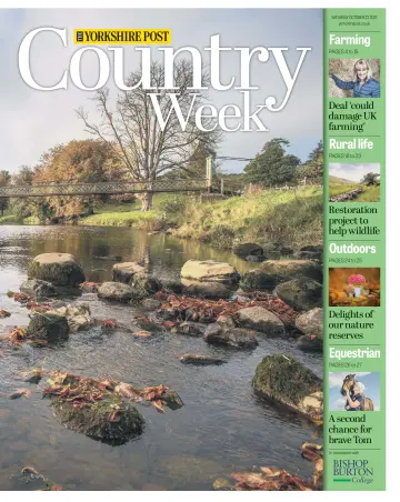Country Week - 23 Oct 2021