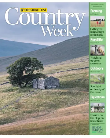 Country Week - 6 Aug 2022