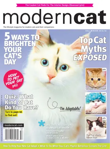 Modern Cat - 1 Oct 2015