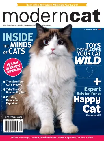 Modern Cat - 10 out. 2023