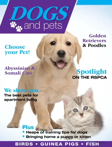 Dogs & Pets - 10 Oct 2022