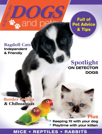 Dogs & Pets - 01 2月 2023