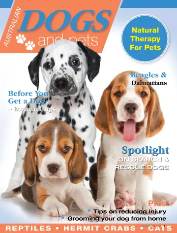 Dogs & Pets - 10 oct. 2023
