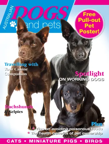 Dogs & Pets - 09 1月 2024