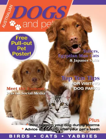 Dogs & Pets - 1 May 2024