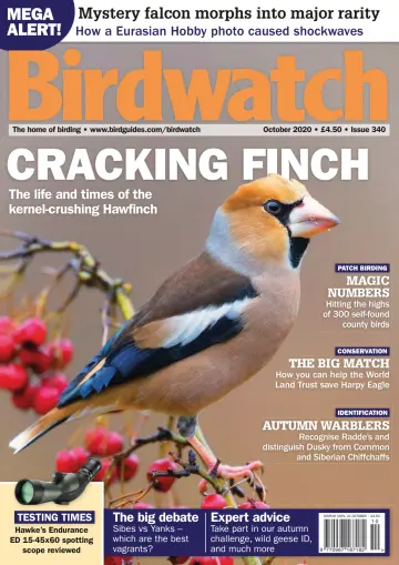 Birdwatch - 24 Sep 2020