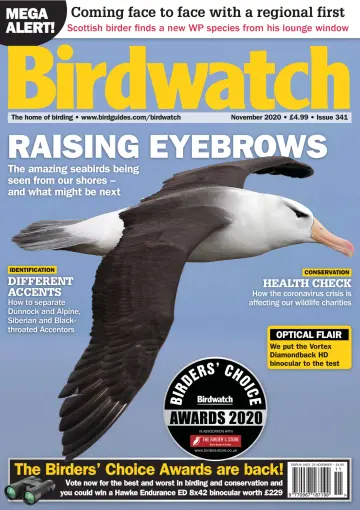 Birdwatch - 22 Oct 2020
