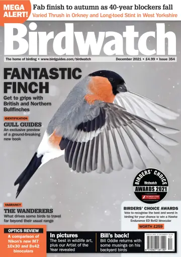 Birdwatch - 25 Nov 2021