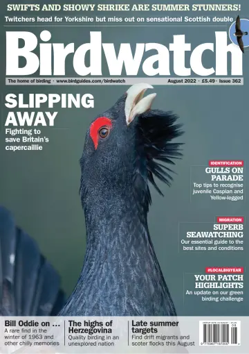 Birdwatch - 28 Juli 2022