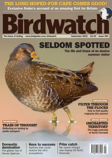 Birdwatch - 25 8월 2022