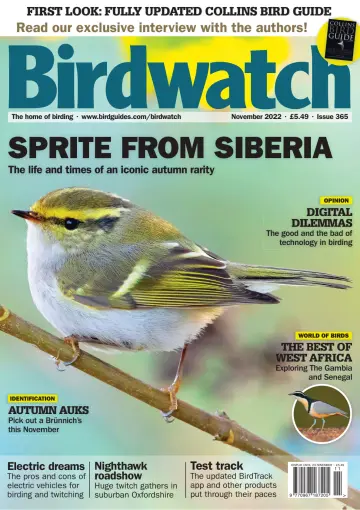 Birdwatch - 27 十月 2022