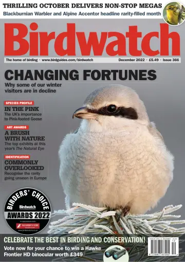 Birdwatch - 24 nov. 2022