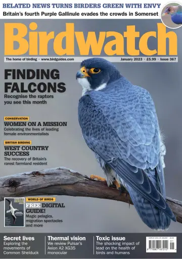 Birdwatch - 22 十二月 2022
