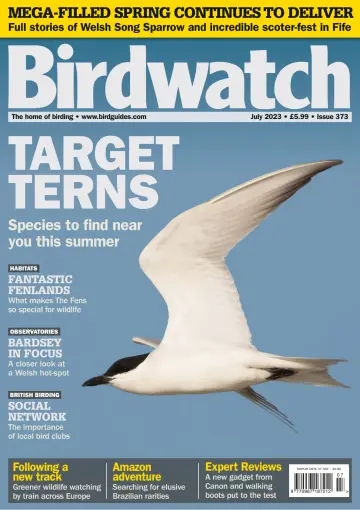 Birdwatch - 22 6月 2023