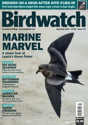 Birdwatch - 24 Aug. 2023
