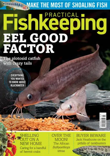 Practical Fishkeeping - 20 1월 2022