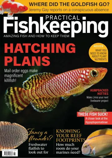 Practical Fishkeeping - 19 Eki 2023