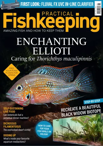 Practical Fishkeeping - 18 Apr. 2024