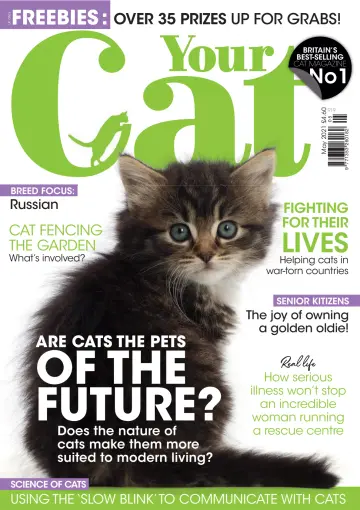 Your Cat - 1 May 2021