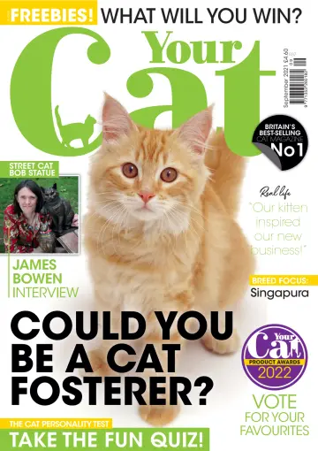 Your Cat - 13 Aug 2021