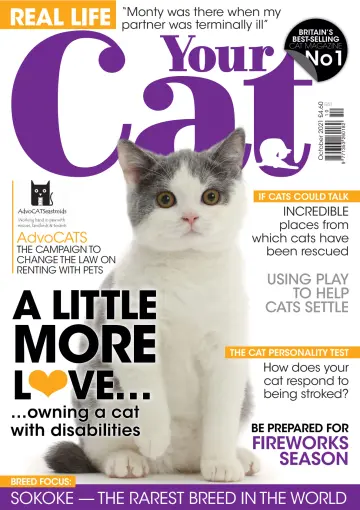 Your Cat - 15 Sep 2021