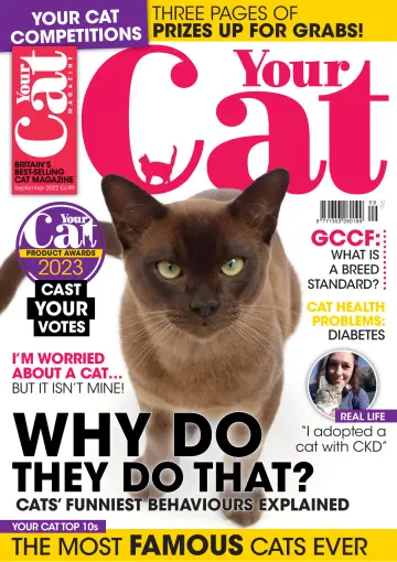 Your Cat - 11 Aug 2022