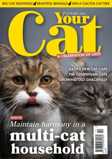 Your Cat - 14 Sep 2023