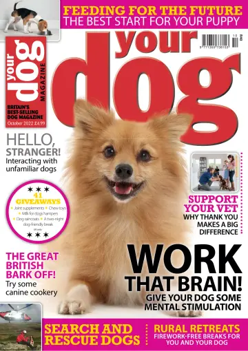 Your Dog - 01 sept. 2022