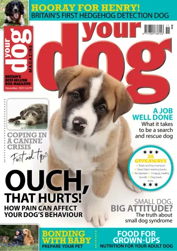 Your Dog - 06 oct. 2022