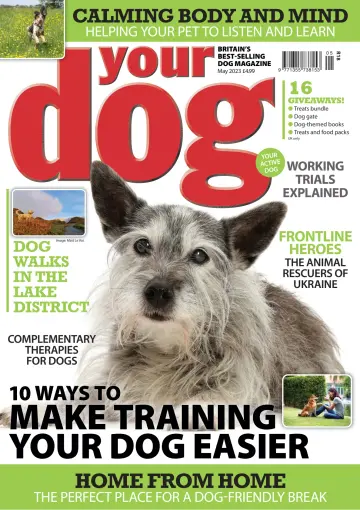 Your Dog - 06 apr 2023